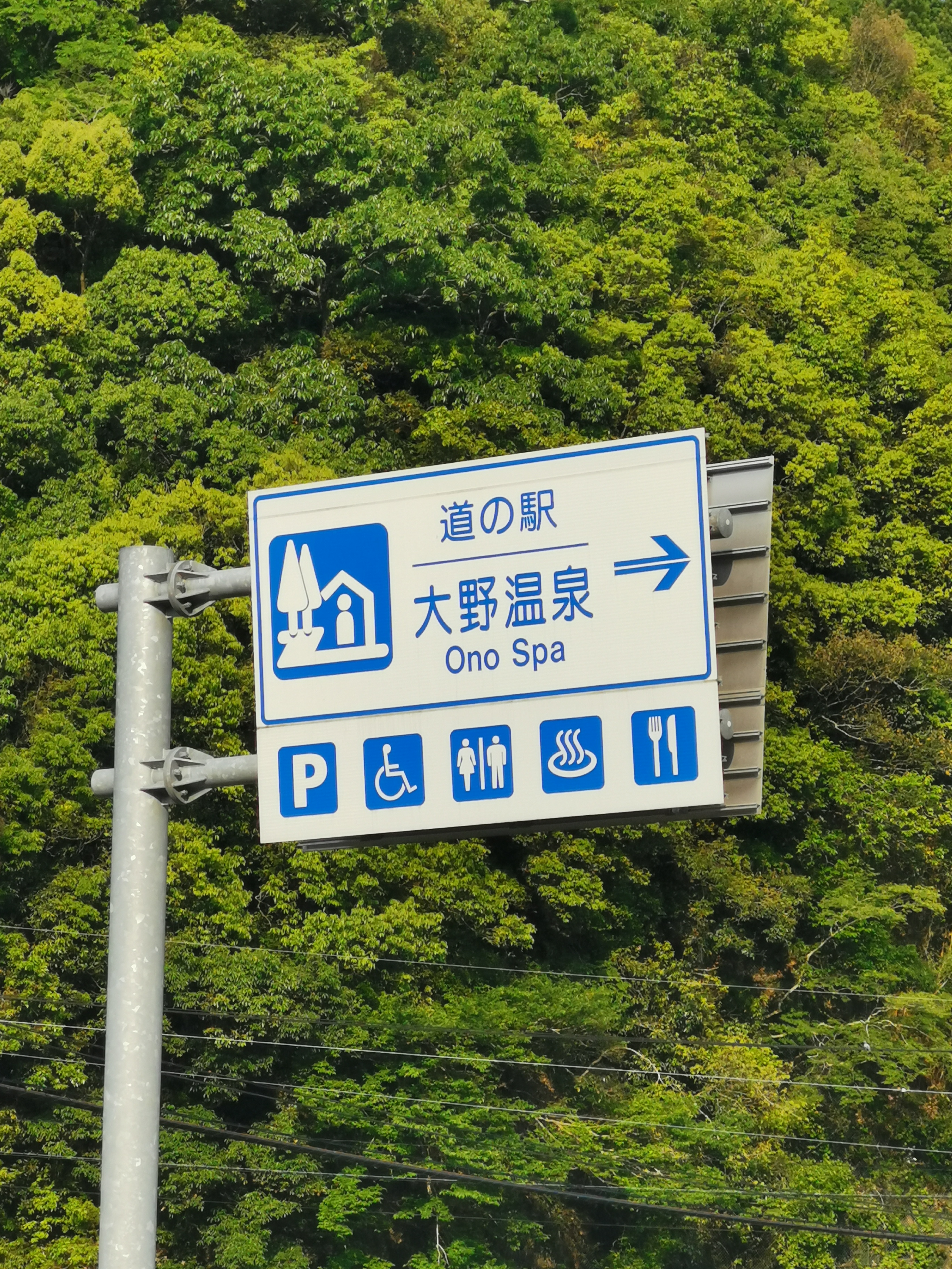 【熊本県】道の駅大野温泉